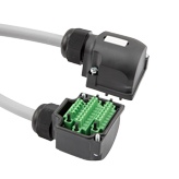 M12配电盒用可移除总控连接（Homerun）线缆，用于M12DB8W-5PAF-TRM，平头19号导线，聚氨酯PUR，灰，5.0米的图片